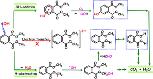 Excited State Behavior of Luminescent Glutathione Protected Gold Clusters